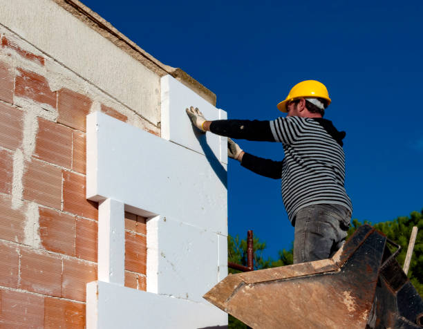 Best Insulation Materials and Products in Harvey, LA