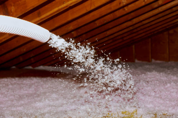 Best Types of Insulation in Harvey, LA