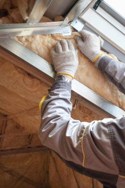 Best Commercial Insulation in Harvey, LA